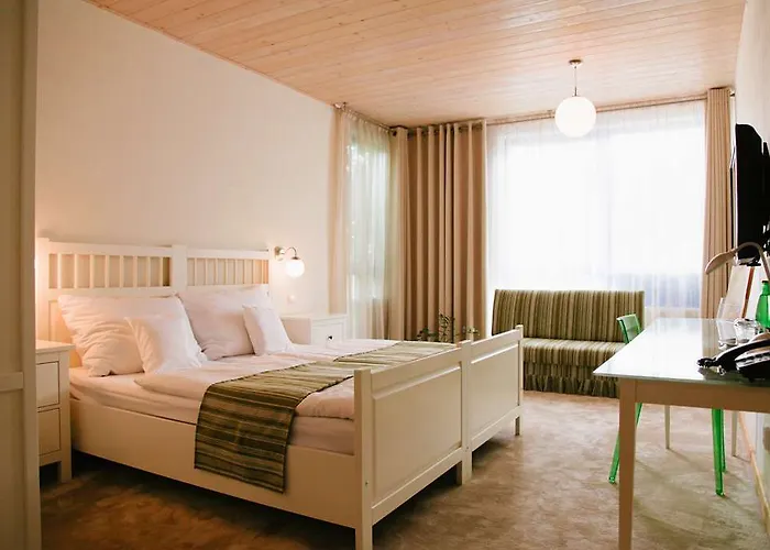 La Romantica ホテル Mladá Boleslav