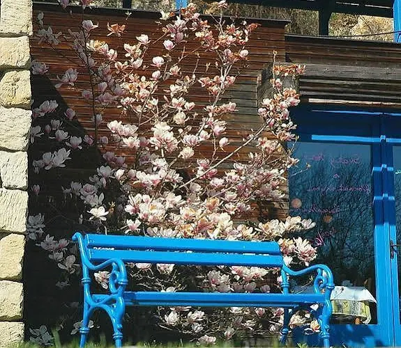 La Romantica ホテル Mladá Boleslav