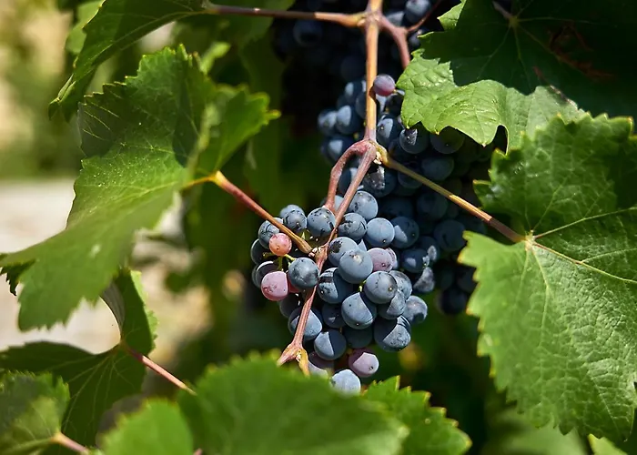 La Romantica Hotel Mladá Boleslav